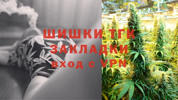твердый Карпинск
