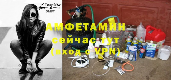 твердый Карпинск