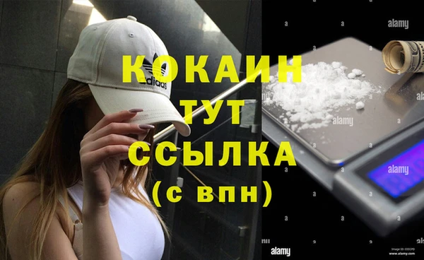 твердый Касимов