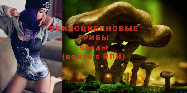 твердый Касимов